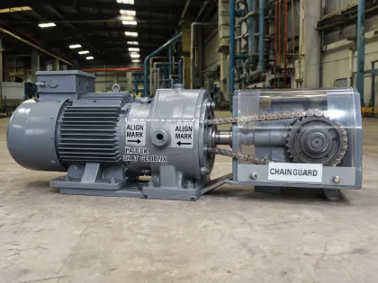 Parallel shaft gearmotor